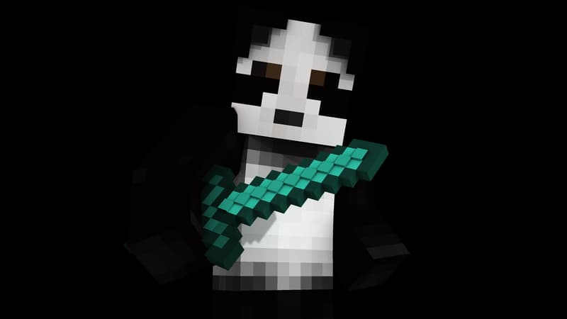 Minecraft Character Left